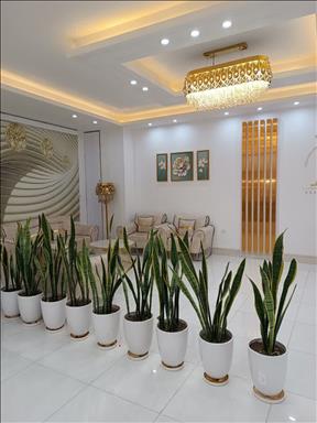 سالن زیبایی آس  در  قم