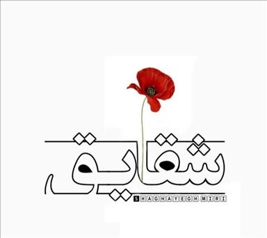 سالن زیبایی مجموعه زیبایی شقایق میری  در  بابلسر