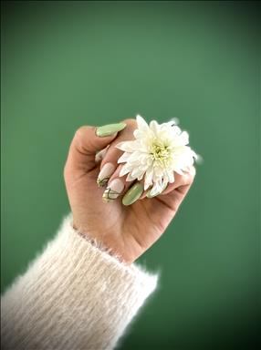 سالن زیبایی کاشت ناخن پریماه   در  مشهد