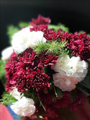 سالن زیبایی سالن زیبایی فرشته   در  ارومیه