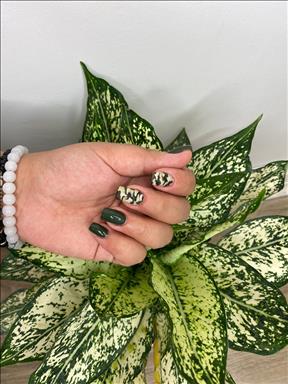 سالن زیبایی سالن زیبایی لاویسا  در  تهران