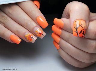 سالن زیبایی آکادمی کاشت ناخن سمیه پرحلم  در  آستانه اشرفیه